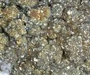 Pyrite On Calcite - Morocco #80729-1